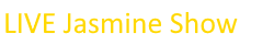 livejasmineshow.com